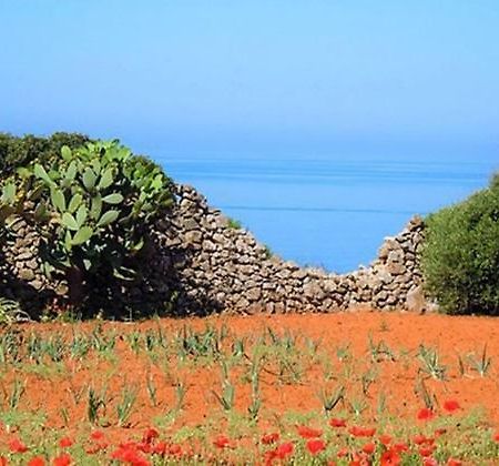 Easy Dream Pizzo (Salento) Exterior photo