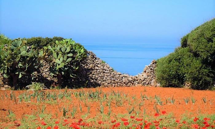 Easy Dream Pizzo (Salento) Exterior photo